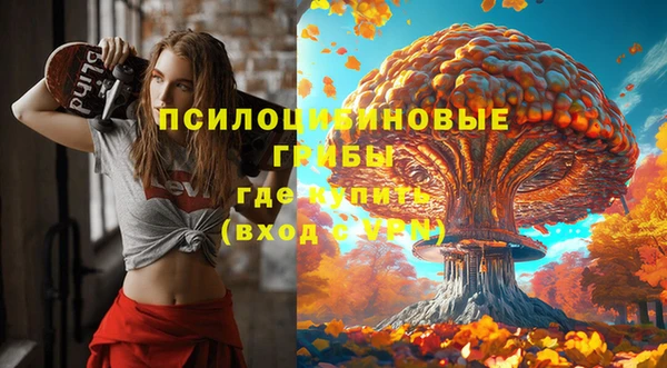 СК Алексеевка